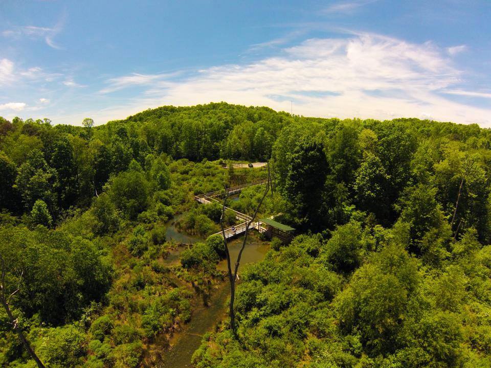Image by Tim Naylor. Aerial view of the wetlands in the outdoor classroom of New River Birding & Nature Center. Wolf Creek Park, Fayetteville, WV 25840